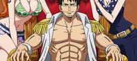 One Piece: Global improvement system