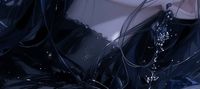 The Villainess's Wicked Charm